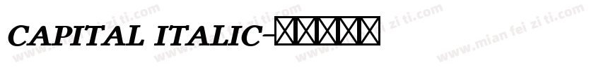 capital italic字体转换